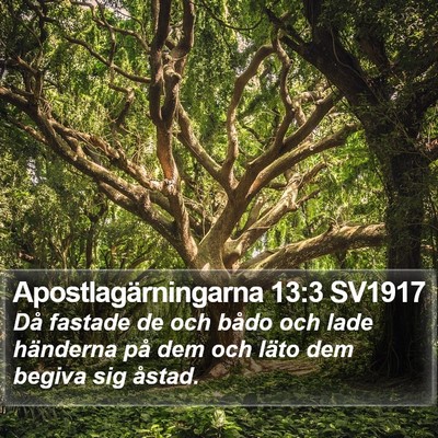 Apostlagärningarna 13:3 SV1917 Bible Verse Image