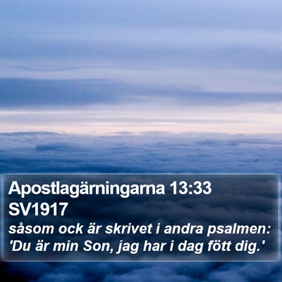 Apostlagärningarna 13:33 SV1917 Bible Verse Image