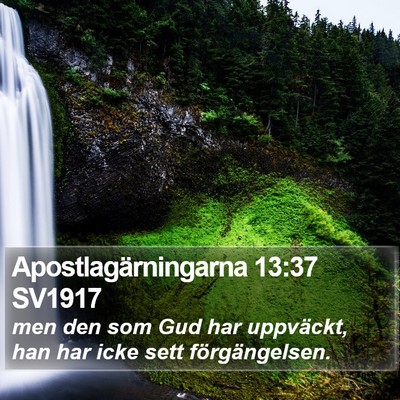 Apostlagärningarna 13:37 SV1917 Bible Verse Image