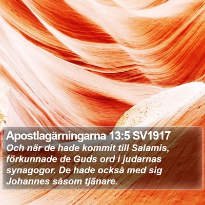 Apostlagärningarna 13:5 SV1917 Bible Verse Image