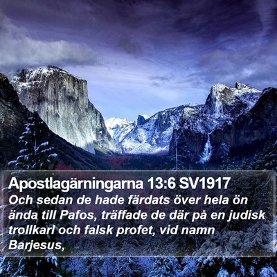 Apostlagärningarna 13:6 SV1917 Bible Verse Image