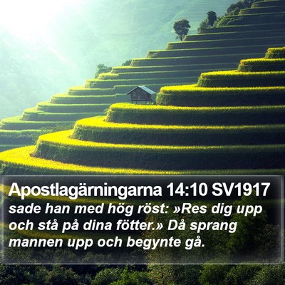 Apostlagärningarna 14:10 SV1917 Bible Verse Image