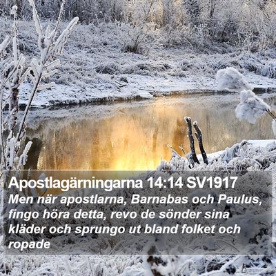 Apostlagärningarna 14:14 SV1917 Bible Verse Image