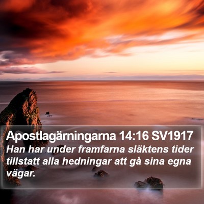 Apostlagärningarna 14:16 SV1917 Bible Verse Image