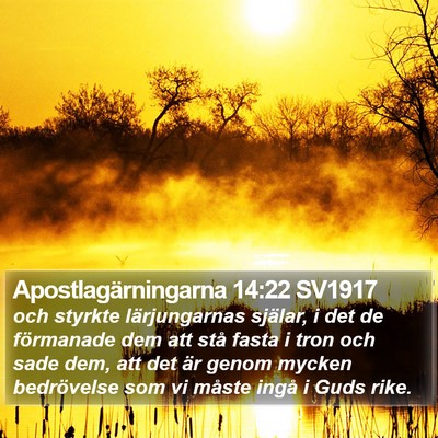 Apostlagärningarna 14:22 SV1917 Bible Verse Image