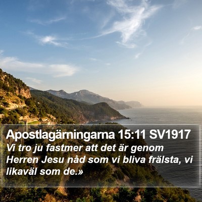Apostlagärningarna 15:11 SV1917 Bible Verse Image