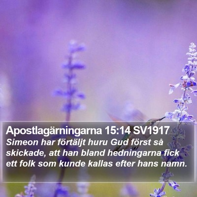 Apostlagärningarna 15:14 SV1917 Bible Verse Image
