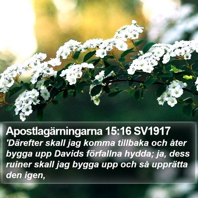 Apostlagärningarna 15:16 SV1917 Bible Verse Image