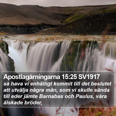 Apostlagärningarna 15:25 SV1917 Bible Verse Image