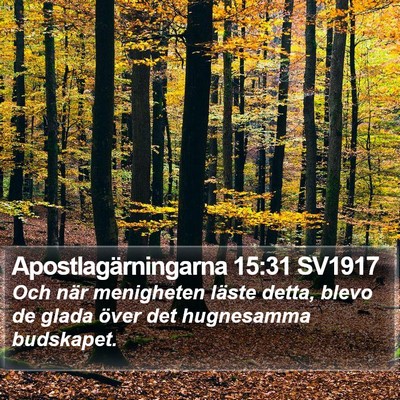 Apostlagärningarna 15:31 SV1917 Bible Verse Image