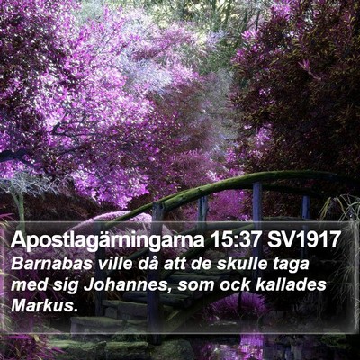 Apostlagärningarna 15:37 SV1917 Bible Verse Image