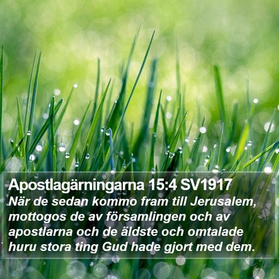 Apostlagärningarna 15:4 SV1917 Bible Verse Image