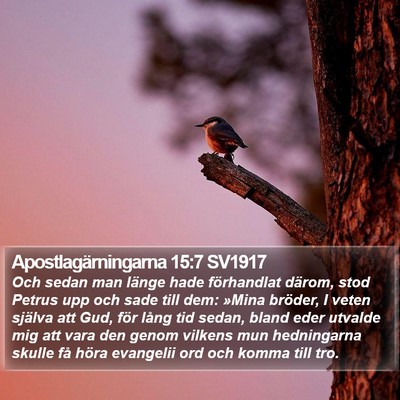 Apostlagärningarna 15:7 SV1917 Bible Verse Image