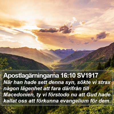 Apostlagärningarna 16:10 SV1917 Bible Verse Image