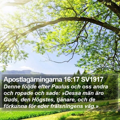 Apostlagärningarna 16:17 SV1917 Bible Verse Image