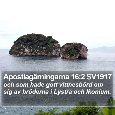 Apostlagärningarna 16:2 SV1917 Bible Verse Image