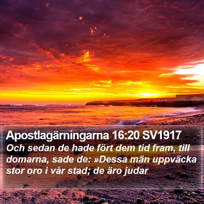 Apostlagärningarna 16:20 SV1917 Bible Verse Image