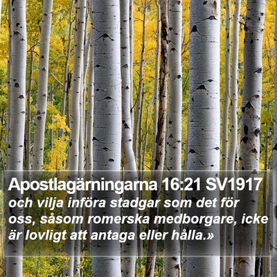Apostlagärningarna 16:21 SV1917 Bible Verse Image