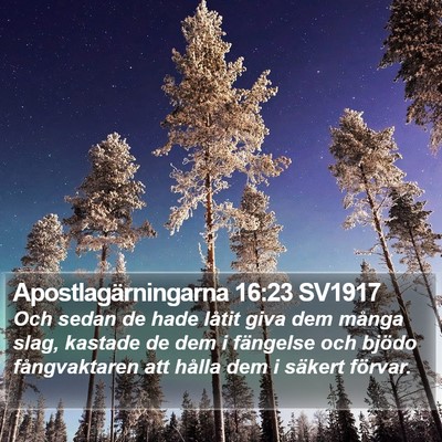 Apostlagärningarna 16:23 SV1917 Bible Verse Image