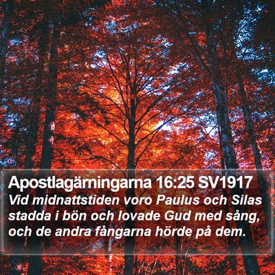 Apostlagärningarna 16:25 SV1917 Bible Verse Image