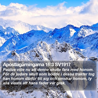 Apostlagärningarna 16:3 SV1917 Bible Verse Image