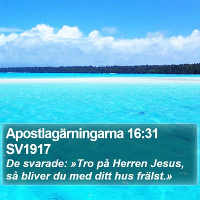 Apostlagärningarna 16:31 SV1917 Bible Verse Image