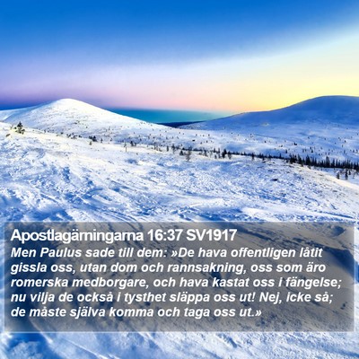 Apostlagärningarna 16:37 SV1917 Bible Verse Image