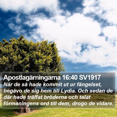 Apostlagärningarna 16:40 SV1917 Bible Verse Image