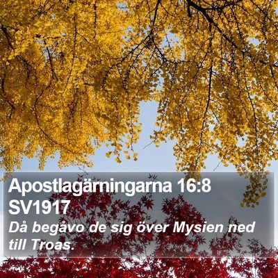 Apostlagärningarna 16:8 SV1917 Bible Verse Image