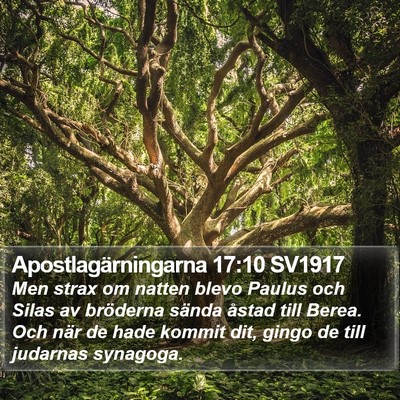 Apostlagärningarna 17:10 SV1917 Bible Verse Image