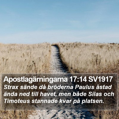 Apostlagärningarna 17:14 SV1917 Bible Verse Image