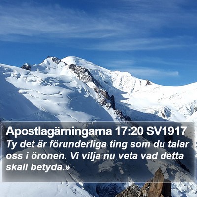 Apostlagärningarna 17:20 SV1917 Bible Verse Image