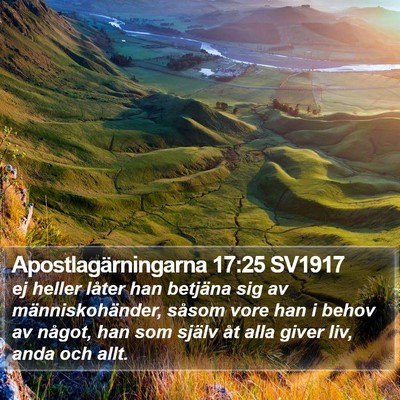 Apostlagärningarna 17:25 SV1917 Bible Verse Image