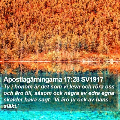 Apostlagärningarna 17:28 SV1917 Bible Verse Image