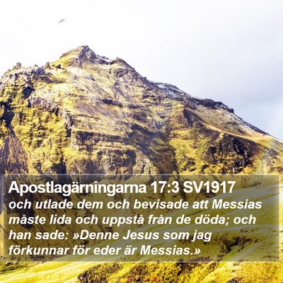 Apostlagärningarna 17:3 SV1917 Bible Verse Image