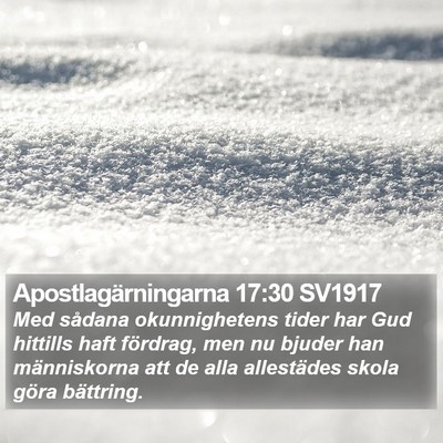 Apostlagärningarna 17:30 SV1917 Bible Verse Image