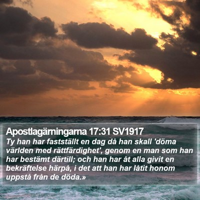 Apostlagärningarna 17:31 SV1917 Bible Verse Image