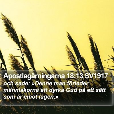 Apostlagärningarna 18:13 SV1917 Bible Verse Image