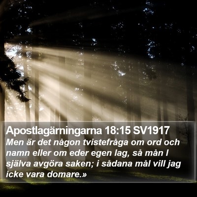 Apostlagärningarna 18:15 SV1917 Bible Verse Image