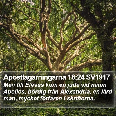 Apostlagärningarna 18:24 SV1917 Bible Verse Image