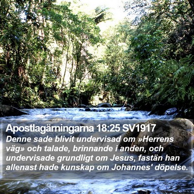 Apostlagärningarna 18:25 SV1917 Bible Verse Image