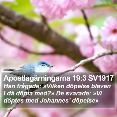Apostlagärningarna 19:3 SV1917 Bible Verse Image
