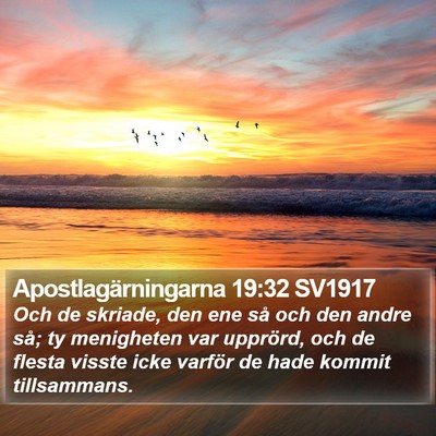 Apostlagärningarna 19:32 SV1917 Bible Verse Image