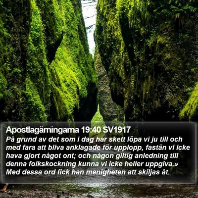 Apostlagärningarna 19:40 SV1917 Bible Verse Image