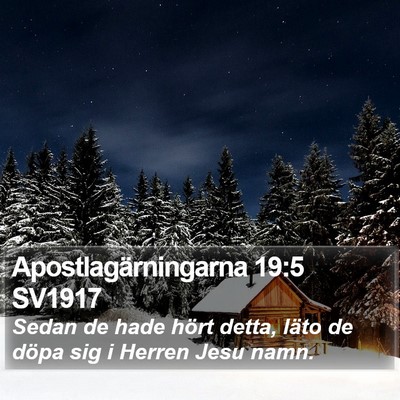 Apostlagärningarna 19:5 SV1917 Bible Verse Image