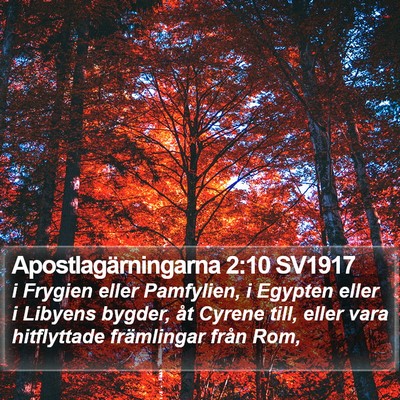 Apostlagärningarna 2:10 SV1917 Bible Verse Image