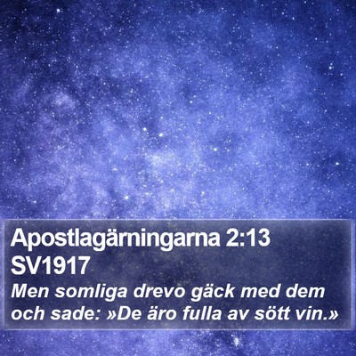 Apostlagärningarna 2:13 SV1917 Bible Verse Image