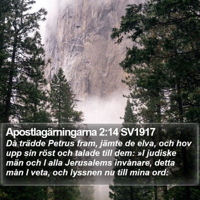 Apostlagärningarna 2:14 SV1917 Bible Verse Image