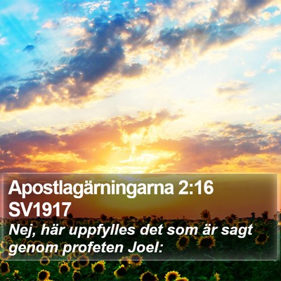 Apostlagärningarna 2:16 SV1917 Bible Verse Image