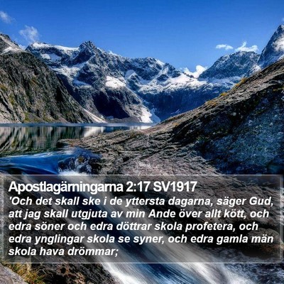 Apostlagärningarna 2:17 SV1917 Bible Verse Image